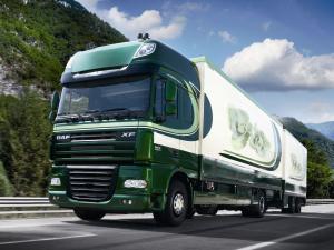 DAF XF105 4x2 FA Super Space Cab 2006 года